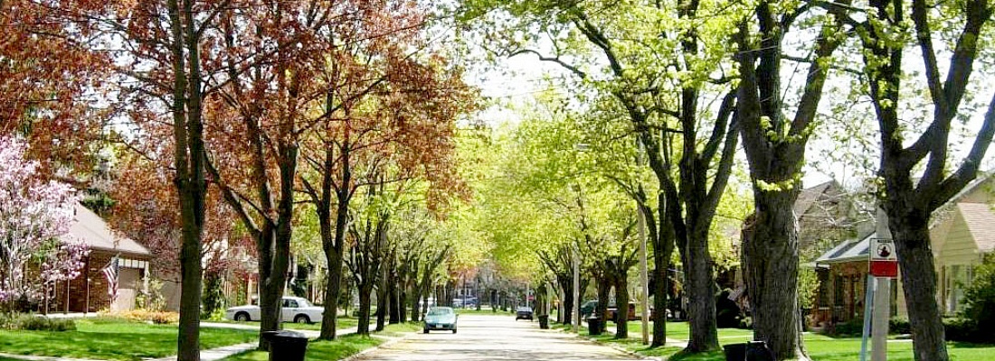 community, residential  street
