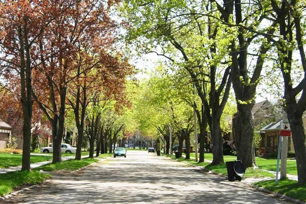 community, residential  street