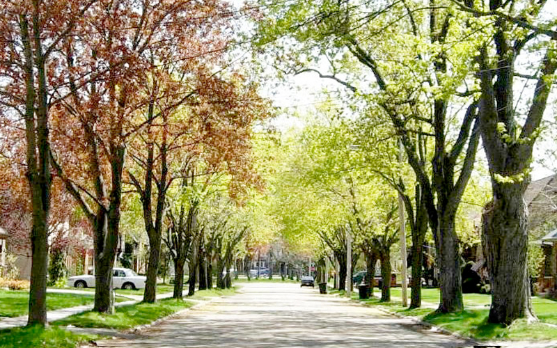 Salem Illinois Neighborhood